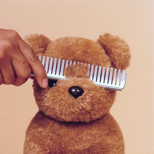 A comb working through a doodle's freshly trimmed teddy-bear coat